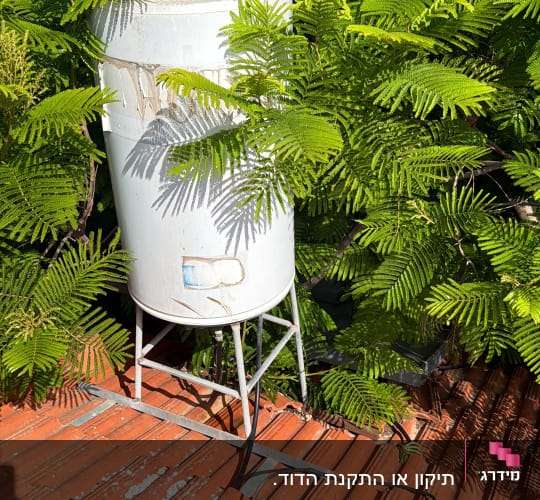 דוד שמש על גג מוקף בצמחייה ירוקה